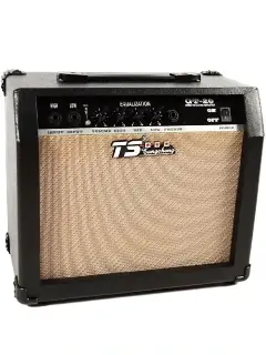 Tangsheng TS GT-20 20W