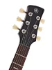 Електрогітара Yamaha Revstar Professional RSP20X (Rusty Brass Charcoal)