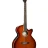 Cort Exotic-SFX Myrtle (Sunburst)