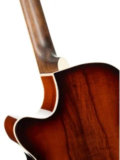 Cort Exotic-SFX Myrtle (Sunburst)