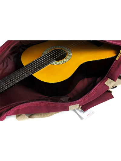 Чохол Ibanez ICB541 WR