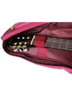 Ibanez ICB541 WR