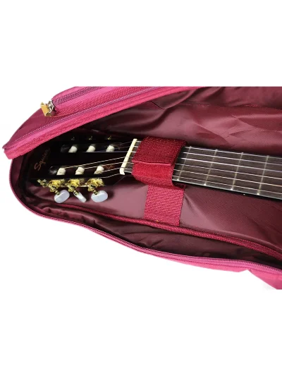 Чохол Ibanez ICB541 WR
