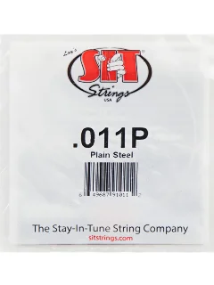 SIT Strings 011