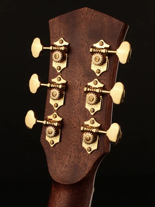 Електро-акустична гітара Електро-акустична гітара Cort Gold A8 (Natural)