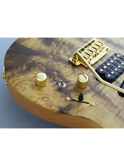 Електрогітара FGN EOS2-DU24HSH-EW4-RM Odyssey Expert Series (Myrtle Natural Flat)