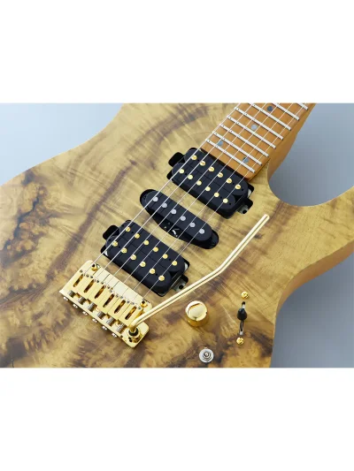Електрогітара FGN EOS2-DU24HSH-EW4-RM Odyssey Expert Series (Myrtle Natural Flat)