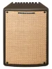 Комбопідсилювач Ibanez T80II
