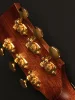 Акустична гітара Cort Gold-D6 (Natural)