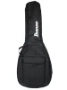 Чохол Ibanez IGB101
