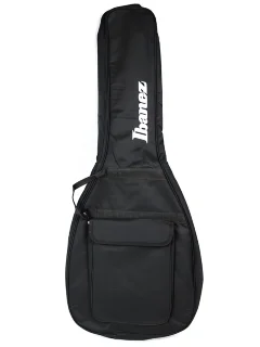Ibanez IGB101