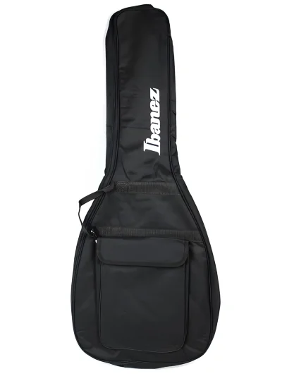 Чохол Ibanez IGB101