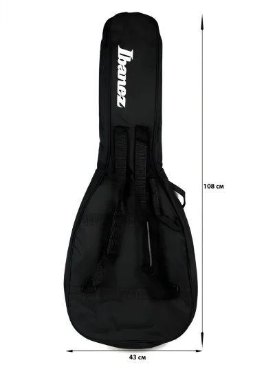 Чохол Ibanez IGB101