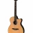 PRS SE A40E (Natural)