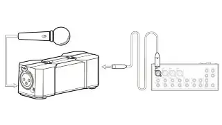 Xvive P1