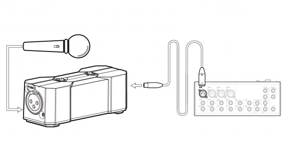Фантомне живлення Xvive P1