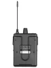 Радіосистема HL Audio DG-1000 Headset