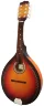 Мандоліна Maxtone MGRC202