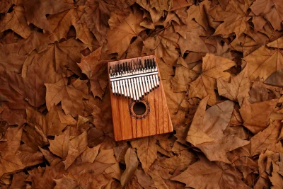 Калімба Hluru KG17 Red Rosewood (17 нот, палісандр)