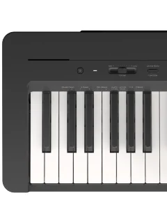 Yamaha P-145B