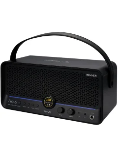 Mooer F40i Li (Phantom Black)