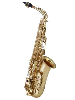 Maxtone SXC21 AL