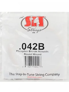 SIT Strings 042B
