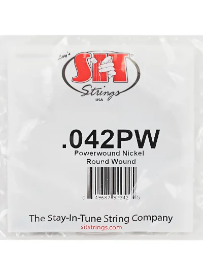 Струна SIT Strings 042PW