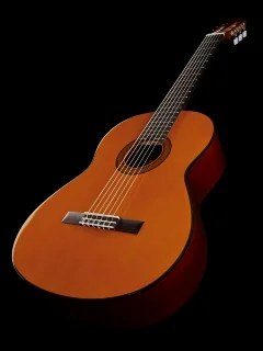 Yamaha CG102