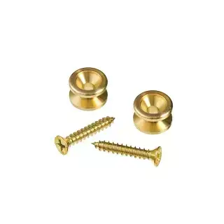 D'Addario PWEP302 Brass End Pin