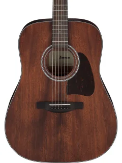 Ibanez AW54-OPN