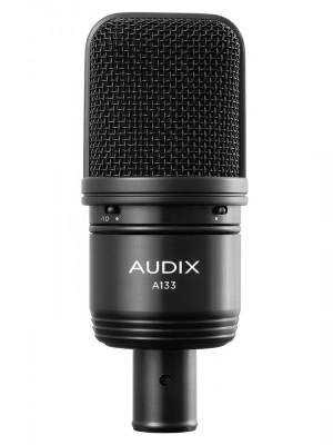 Audix A133