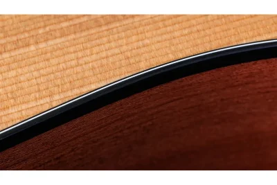 Електро-акустична гітара Taylor Guitars 150CE