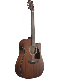 Ibanez AW54CE-OPN