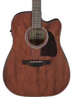 Ibanez AW54CE-OPN