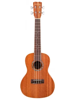 Cordoba 15CM