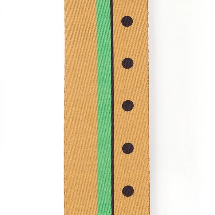 D'Addario 50BTYS02 Yellow Submarine 50th Anniversary Guitar Strap Tin - George