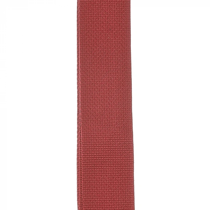 D'Addario PWS101 Polypro Guitar Strap (Red)