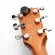 Тюнер D'Addario PW-CT-12 Тюнер D'Addario PW-CT-12