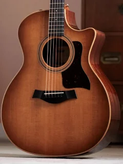 Taylor Guitars 314CE Studio Shaded Edgeburst
