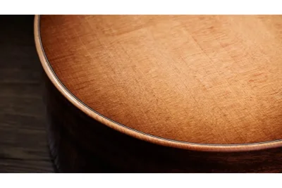 Електро-акустична гітара Taylor Guitars 314CE Studio Shaded Edgeburst
