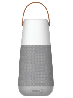 ION Bright Max