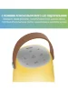 Акустична система ION Bright Max