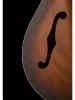 Напівакустична гітара PRS SE Hollowbody Standard (McCarty Tobacco Sunburst)