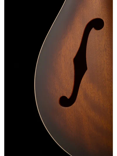 Напівакустична гітара PRS SE Hollowbody Standard (McCarty Tobacco Sunburst)
