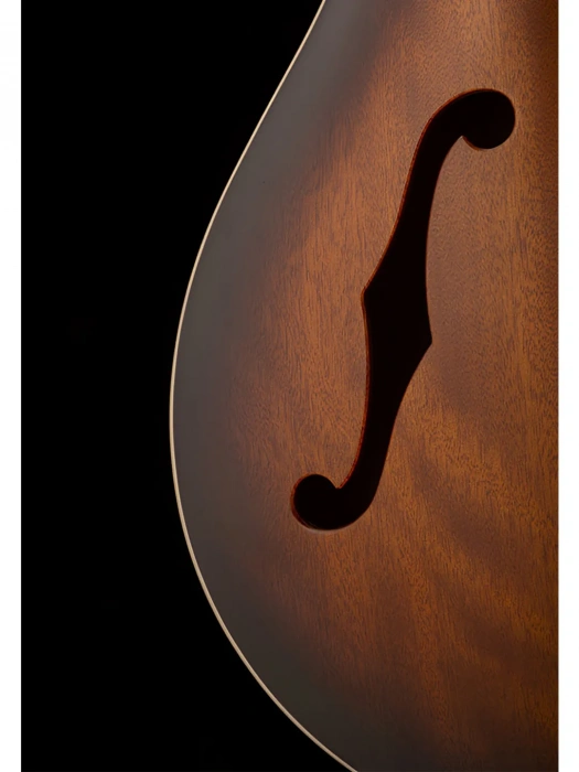 Напівакустична гітара Напівакустична гітара PRS SE Hollowbody Standard (McCarty Tobacco Sunburst)