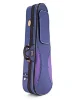 Скрипка Stentor 1400/E Student I Violin Outfit 1/2