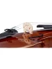 Скрипка Stentor 1400/A Student I Violin Outfit 4/4