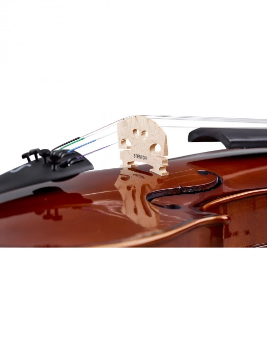 Скрипка Скрипка Stentor 1400/A Student I Violin Outfit 4/4