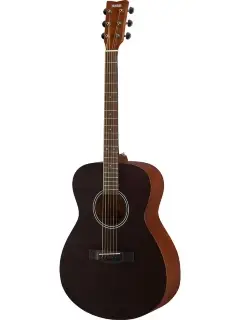 Yamaha FS400 (Smoky Black)